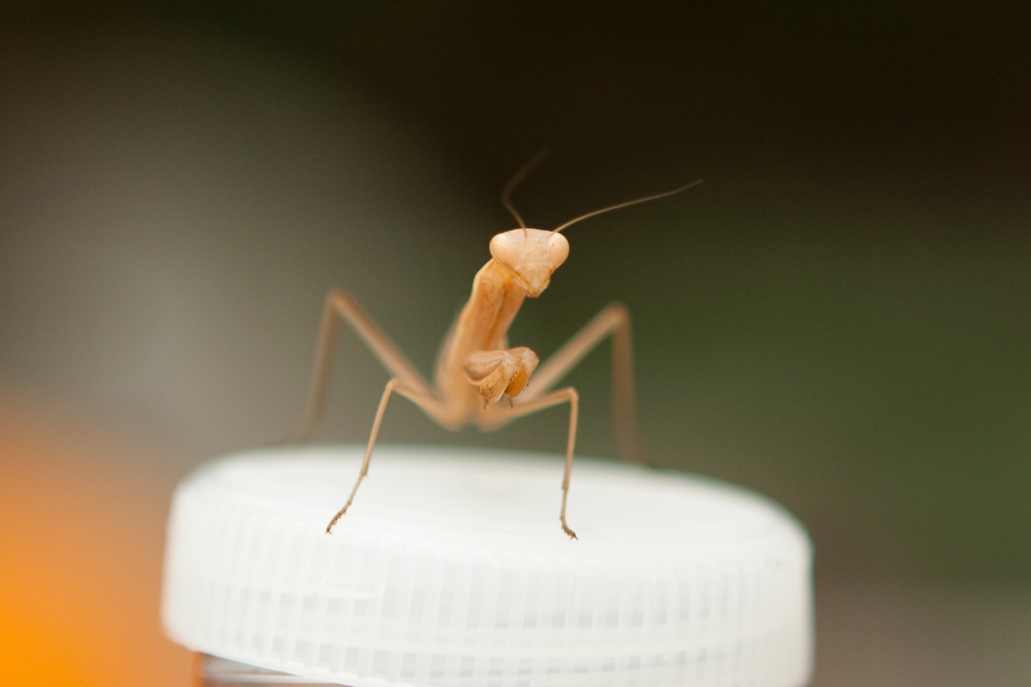 vakantie 2009 het sluisje-021.jpg